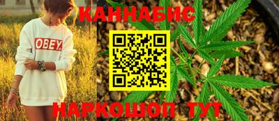 индика Волгодонск