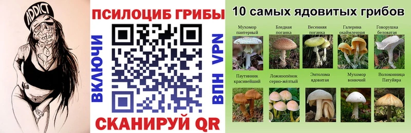 Псилоцибиновые грибы мухоморы  Ефремов 