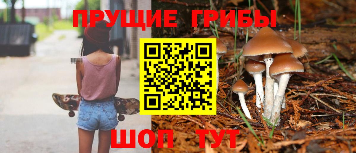 Псилоцибиновые грибы мухоморы  Вход с VPN  Ефремов 
