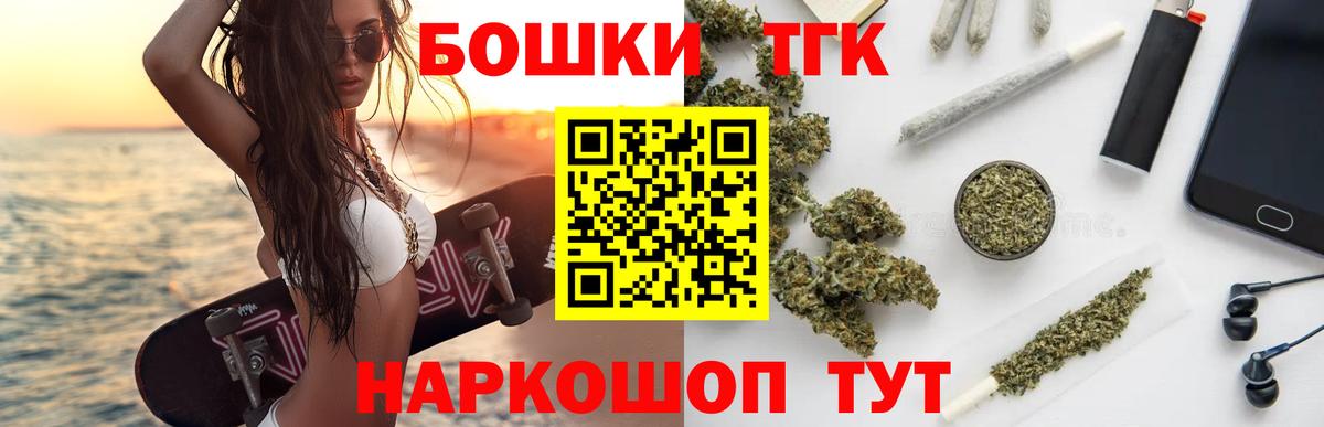 ГАШ Ефремов